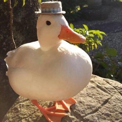 Duck with hat